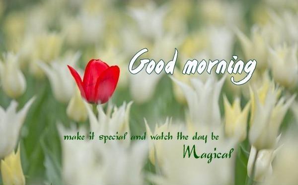 5 Ways to Make Every Morning Special