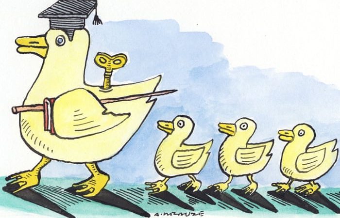 Educating Youngsters And Animals To Co-Exist Quietly